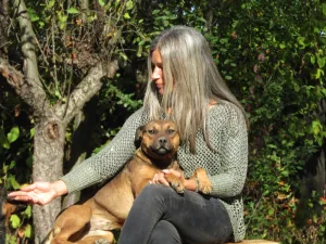 “Šapica” Dog Boarding Kennel