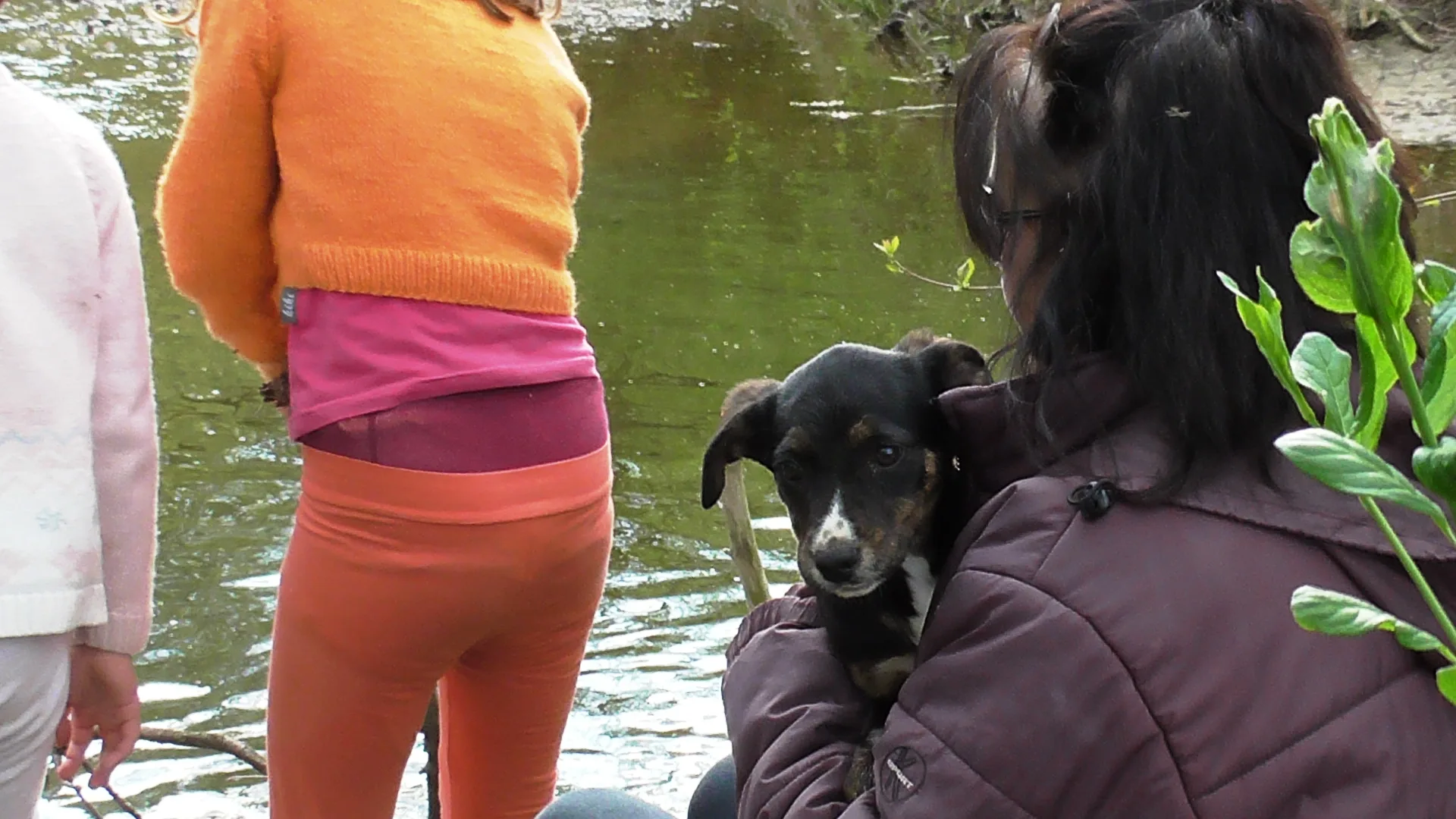 A special opportunity for anyone who wants to adopt a young and intelligent dog.