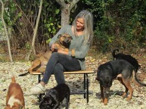 “Šapica” Dog Boarding Kennel