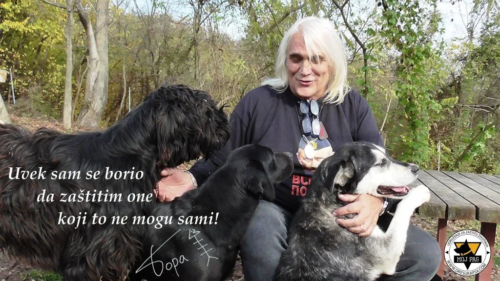 A DOG'S LIFE