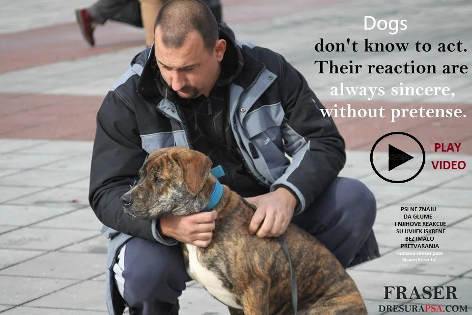FIVE UNUSUAL FACTS ABOUT DOGS