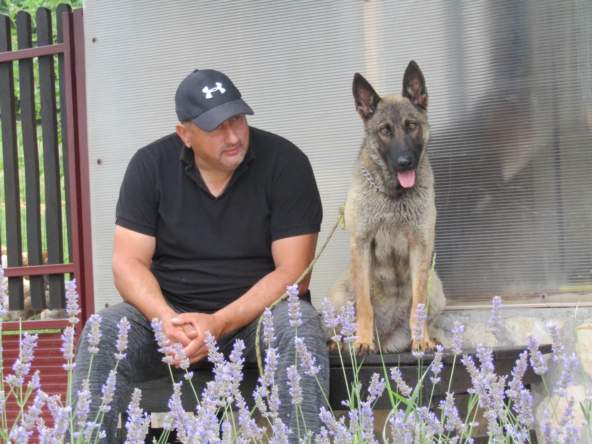 DOG TRAINING AND OWNER EDUCATION PROGRAMME: VOĐA