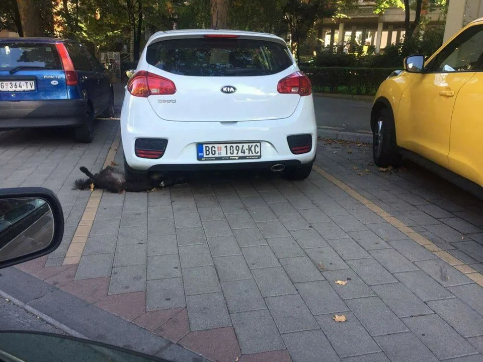 Poslije ove jučerašnje fotografije ostali smo bez teksta