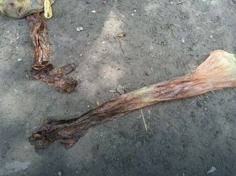 Bloody gloves found at the scene