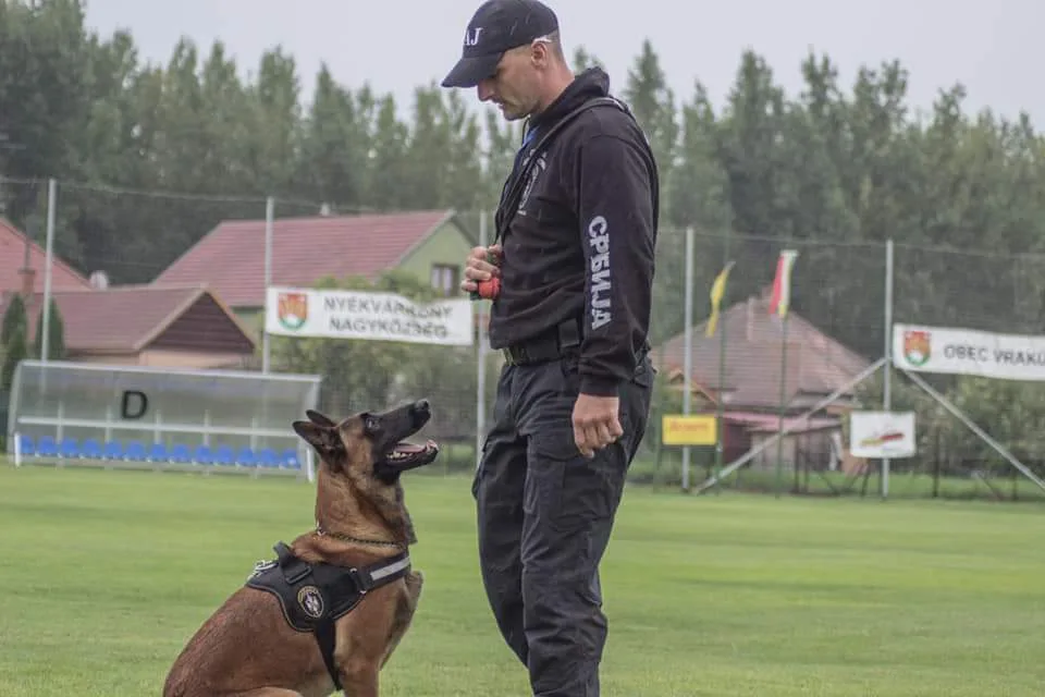 Belgian Shepherd (Malinois) kennel
