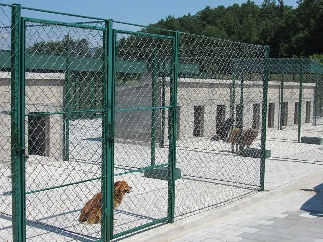 Čačak Dog Shelter Has Opened