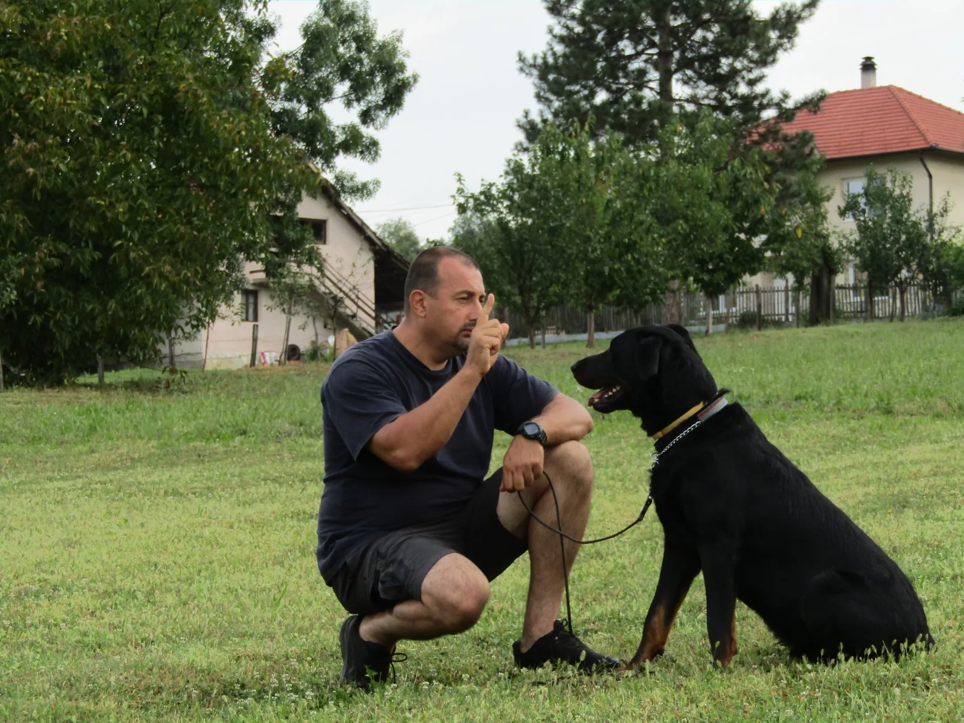 What does it mean to dream about a dog