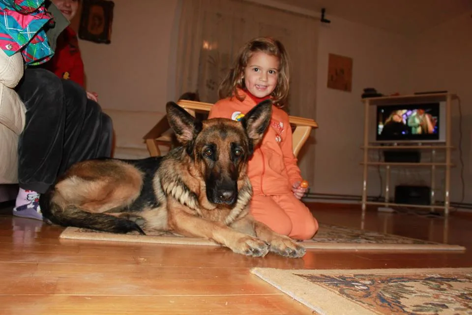 Devojčica i nemački ovčar leže zajedno na podu dnevne sobe