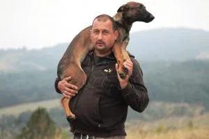 10 NAJČEŠĆIH PROBLEMA SA PSIMA